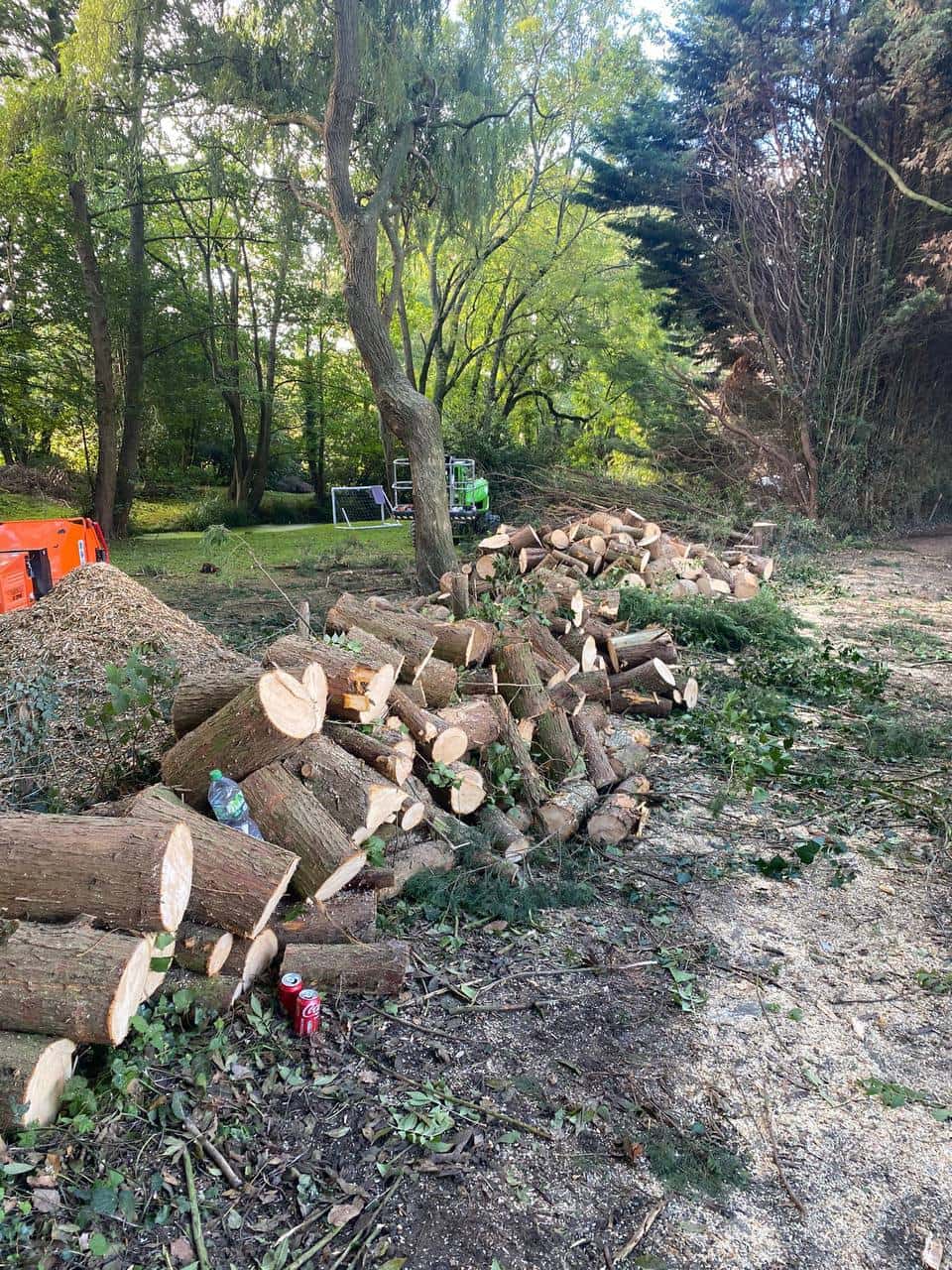 This is a photo of a wood area which is having multiple trees removed. The trees have been cut up into logs and are stacked in a row. Stapleford Tree Surgeons
